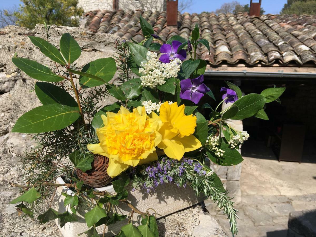 L'Apogee Bed and Breakfast Labeaume Exteriör bild